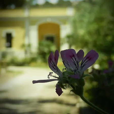 Casa de hóspedes Dimora Relais Excelsa