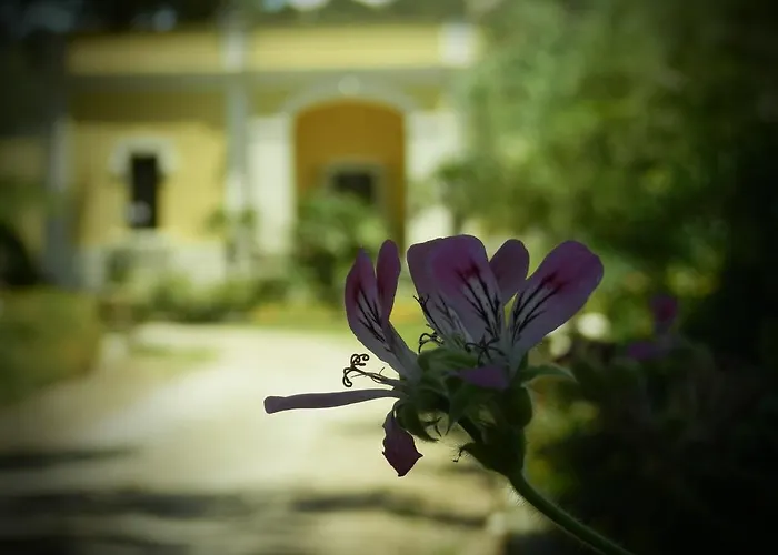 Maison d'hôtes Dimora Relais Excelsa